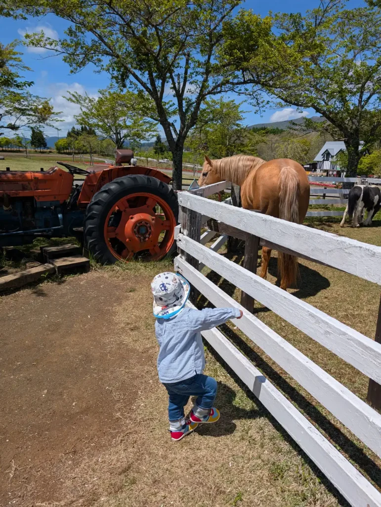 牧歌の里馬の放牧場　馬に興奮する1歳児