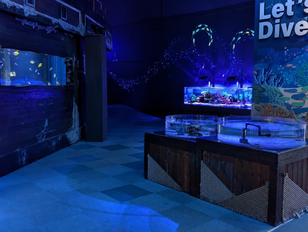 南知多ビーチランド　海洋館の様子