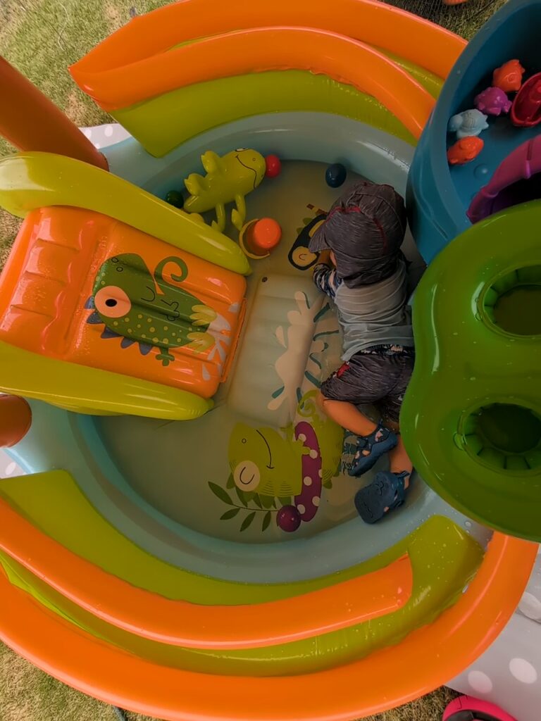 イグアナアドベンチャー2歳児　大さ
