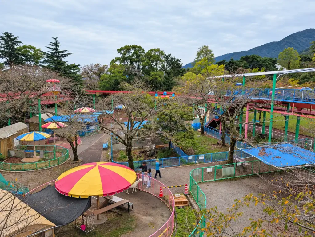養老ランドのふれあい動物園